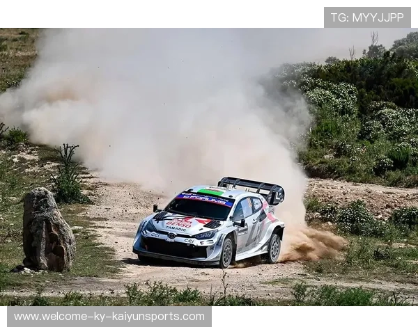 WRC赛段分析：技术细节与驾驶技巧揭秘，wrc赛车的比赛方式是什么