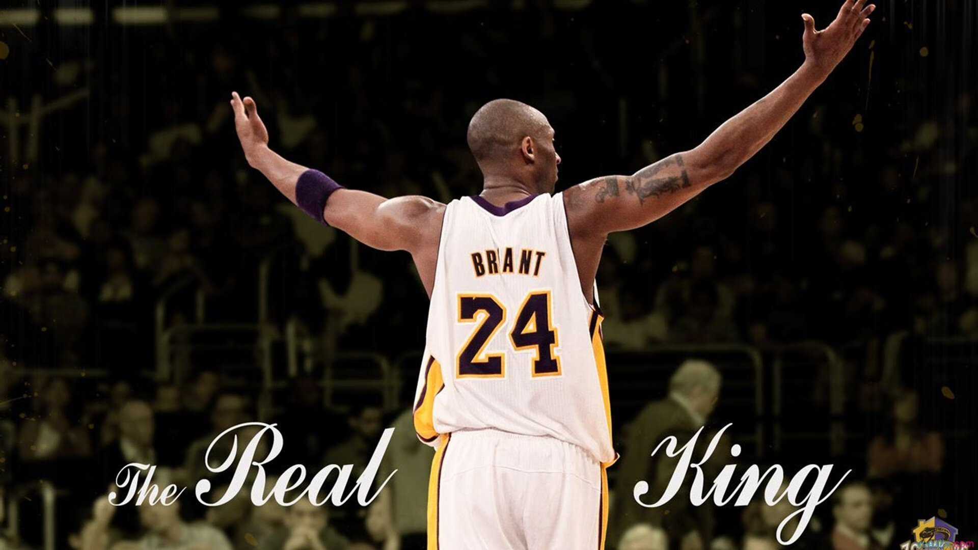 开云体育app官网-《王者荣耀》荣耀之路总决赛，万人期待冠军归来！