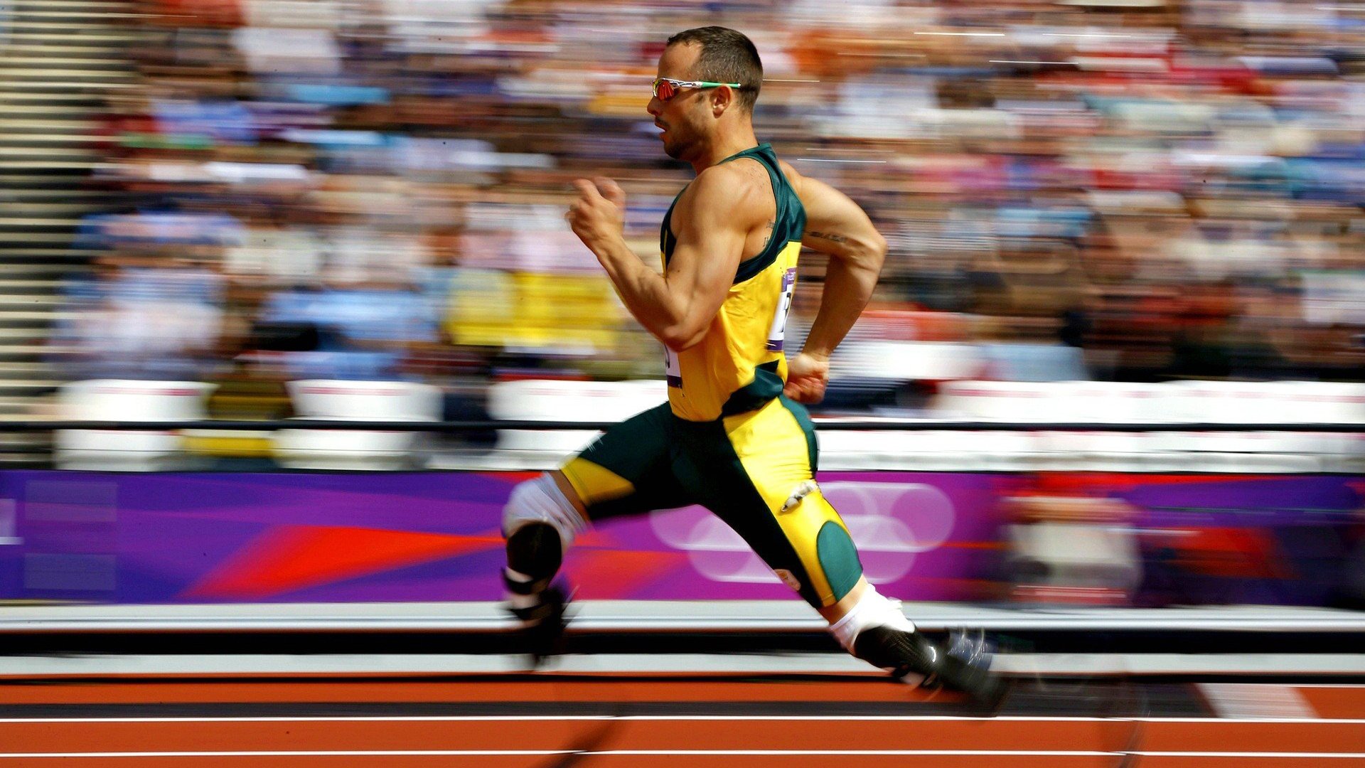 湖人队士气高涨，誓夺季后赛门票，湖人主场时隔8年再迎季后赛